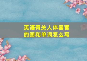 英语有关人体器官的图和单词怎么写