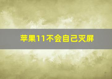 苹果11不会自己灭屏