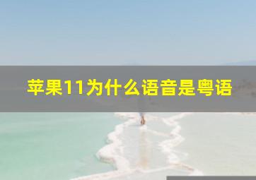 苹果11为什么语音是粤语