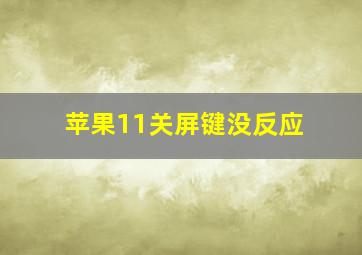 苹果11关屏键没反应