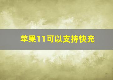 苹果11可以支持快充