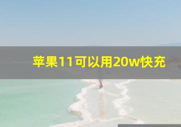 苹果11可以用20w快充