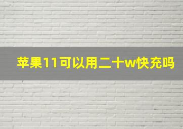 苹果11可以用二十w快充吗