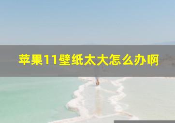 苹果11壁纸太大怎么办啊