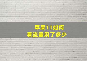 苹果11如何看流量用了多少