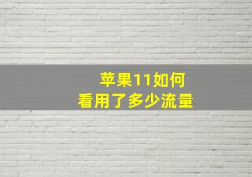 苹果11如何看用了多少流量