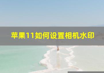 苹果11如何设置相机水印