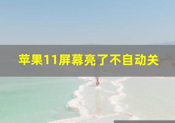 苹果11屏幕亮了不自动关