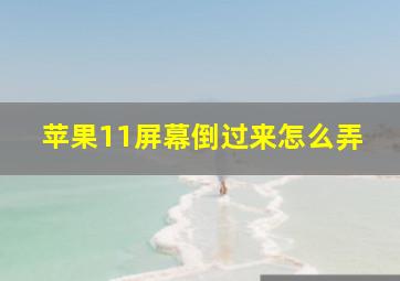 苹果11屏幕倒过来怎么弄