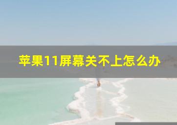 苹果11屏幕关不上怎么办