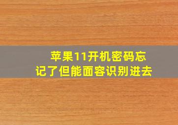 苹果11开机密码忘记了但能面容识别进去