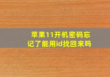 苹果11开机密码忘记了能用id找回来吗