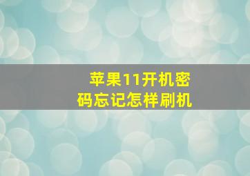 苹果11开机密码忘记怎样刷机