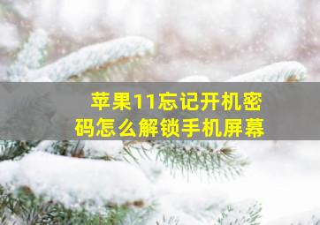 苹果11忘记开机密码怎么解锁手机屏幕