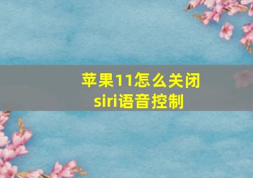 苹果11怎么关闭siri语音控制