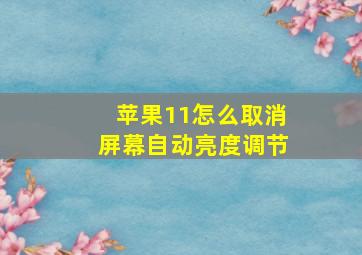 苹果11怎么取消屏幕自动亮度调节