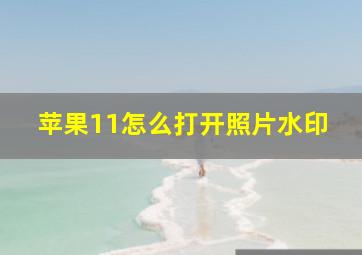 苹果11怎么打开照片水印