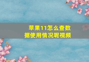 苹果11怎么查数据使用情况呢视频