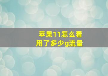 苹果11怎么看用了多少g流量