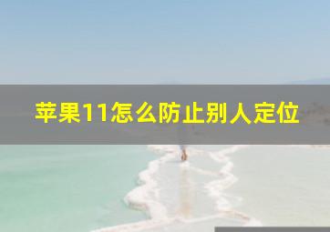 苹果11怎么防止别人定位