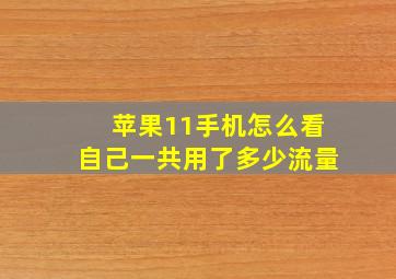 苹果11手机怎么看自己一共用了多少流量