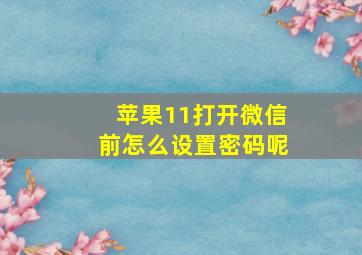 苹果11打开微信前怎么设置密码呢