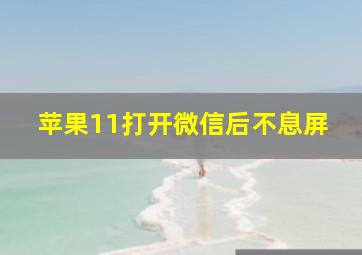 苹果11打开微信后不息屏