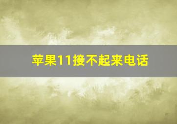 苹果11接不起来电话