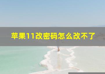 苹果11改密码怎么改不了