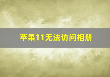 苹果11无法访问相册