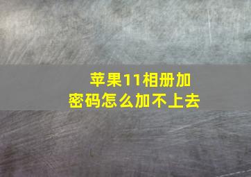 苹果11相册加密码怎么加不上去