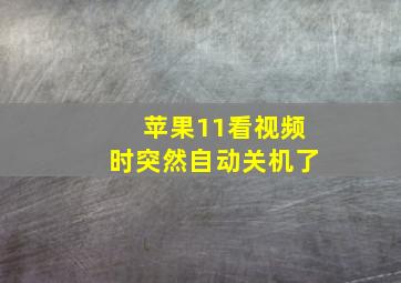 苹果11看视频时突然自动关机了