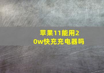 苹果11能用20w快充充电器吗