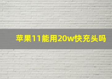 苹果11能用20w快充头吗