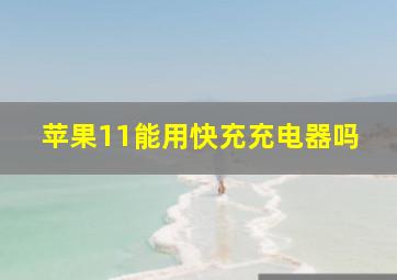 苹果11能用快充充电器吗