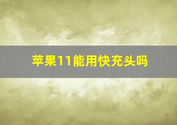 苹果11能用快充头吗