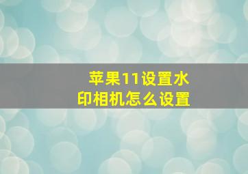 苹果11设置水印相机怎么设置