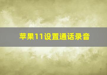 苹果11设置通话录音