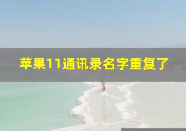 苹果11通讯录名字重复了