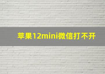 苹果12mini微信打不开