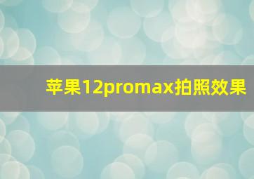 苹果12promax拍照效果