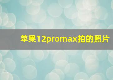 苹果12promax拍的照片