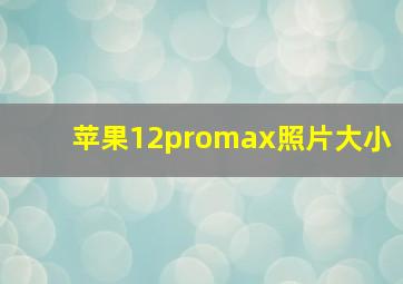 苹果12promax照片大小