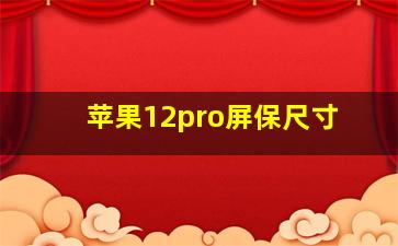 苹果12pro屏保尺寸