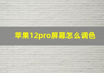 苹果12pro屏幕怎么调色