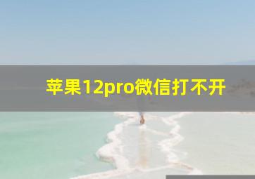 苹果12pro微信打不开