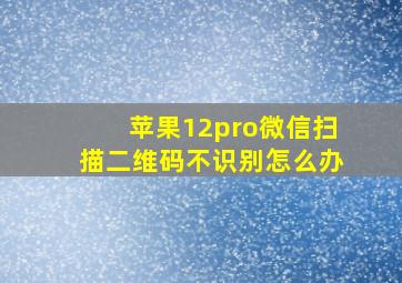 苹果12pro微信扫描二维码不识别怎么办