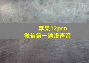 苹果12pro微信第一遍没声音