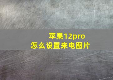 苹果12pro怎么设置来电图片