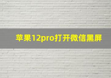 苹果12pro打开微信黑屏